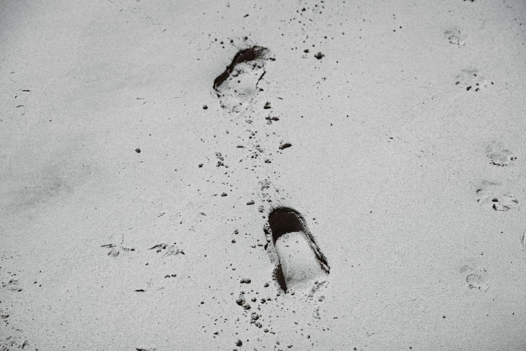 A Descartes’ Inspired Question: What does it mean to&nbsp;Be?